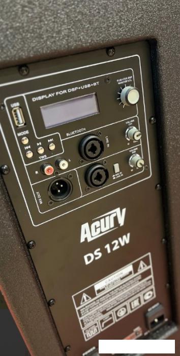 Активная акустика Acury DS12W- фото2
