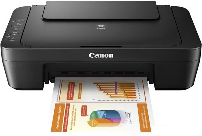 МФУ Canon PIXMA MG2545S- фото