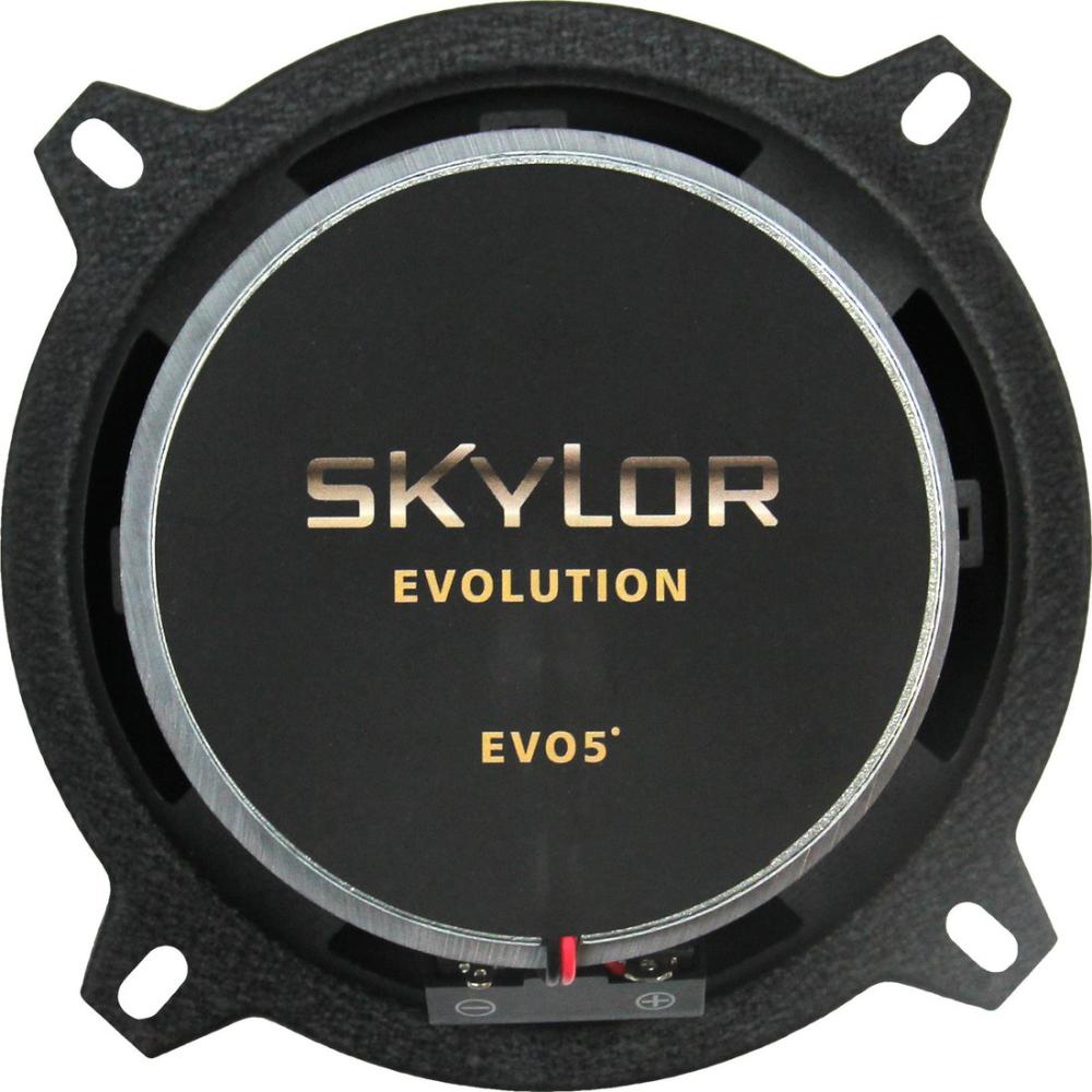 Коаксиальная АС Skylor EVO5- фото2