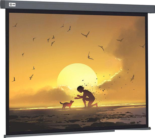 Проекционный экран CACTUS Wallscreen 124x221 CS-PSW-124X221-SG
