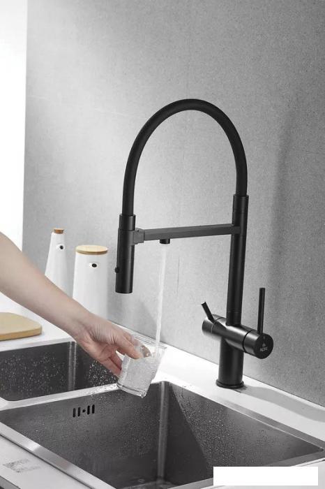 Смеситель Rose R958H (черный)- фото3