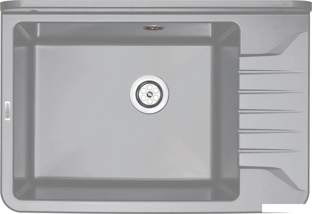 Кухонная мойка Deante Garden ZYT_311A
