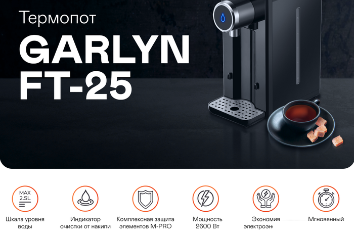 Диспенсер Garlyn FT-25- фото2