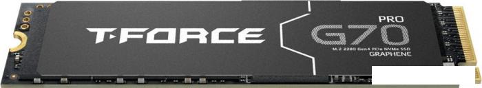 SSD Team T-Force G70 Pro 1TB TM8FFH001T0C129- фото2