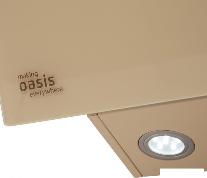 Кухонная вытяжка Oasis (Making Oasis Everywhere) NB-60I- фото4