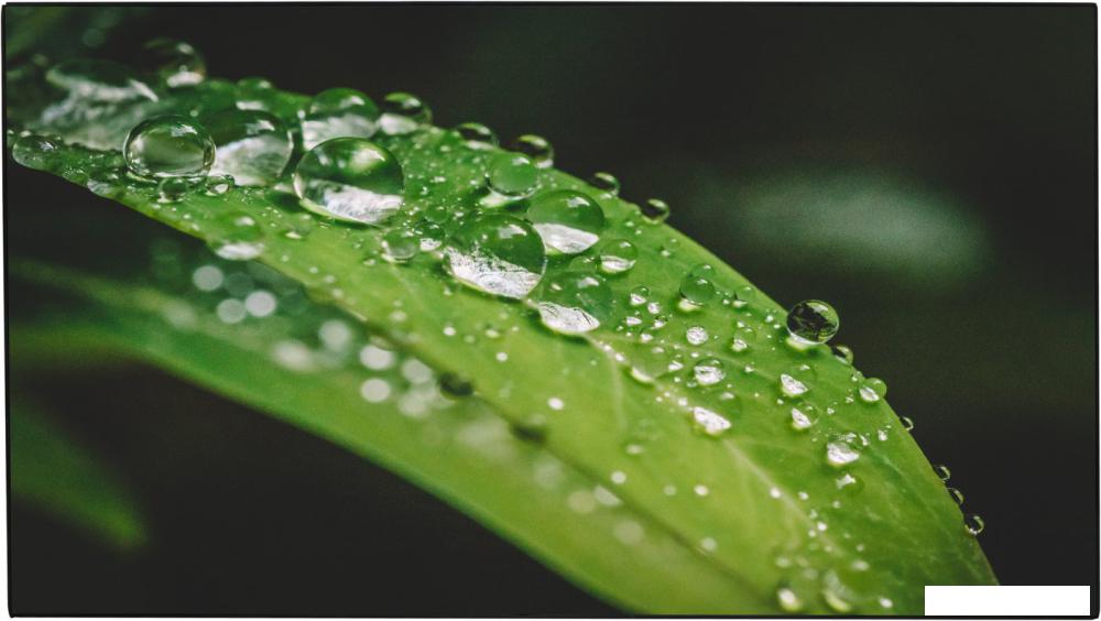 Дисплей для видеостен Dahua LS550UEH-UG