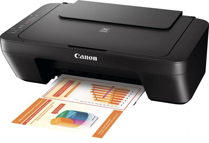 МФУ Canon PIXMA MG2555S 0727C026- фото2