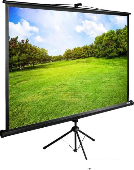 Проекционный экран CACTUS TriExpert 200x200 CS-PSTE-200х200-BK- фото