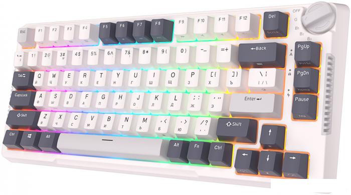Клавиатура Royal Kludge RK-H81 RGB (белый, RK Cyan)- фото3