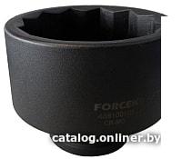 Головка слесарная FORSAGE F-48810080