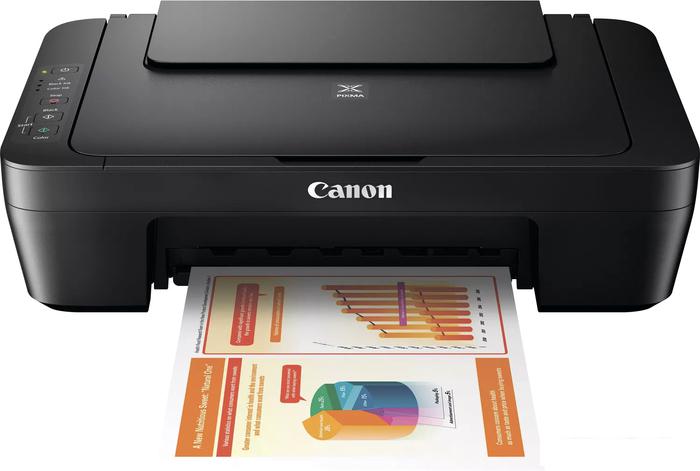 МФУ Canon PIXMA MG2555S 0727C026- фото4