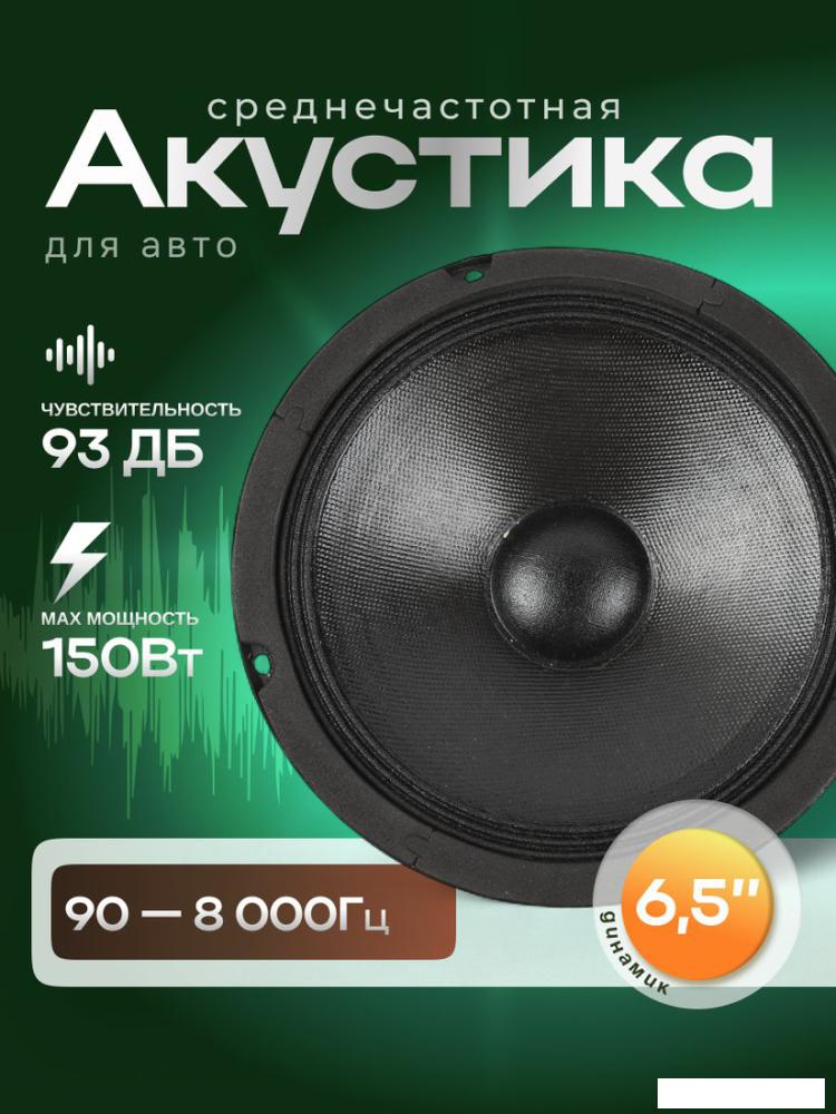 Среднечастотная АС ROKSO CZY2502