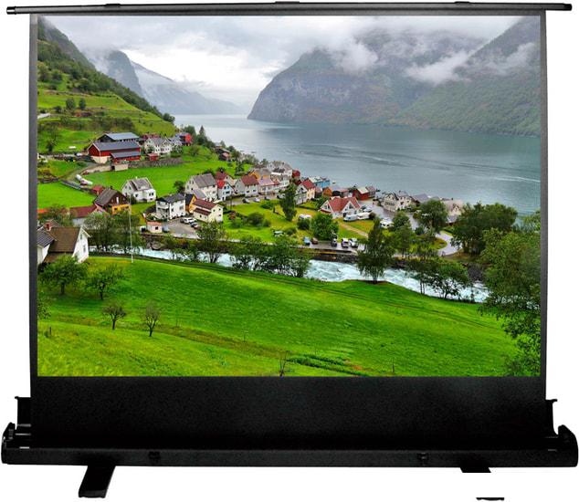 Проекционный экран CACTUS FloorExpert 102x180 CS-PSFLE-180X102- фото