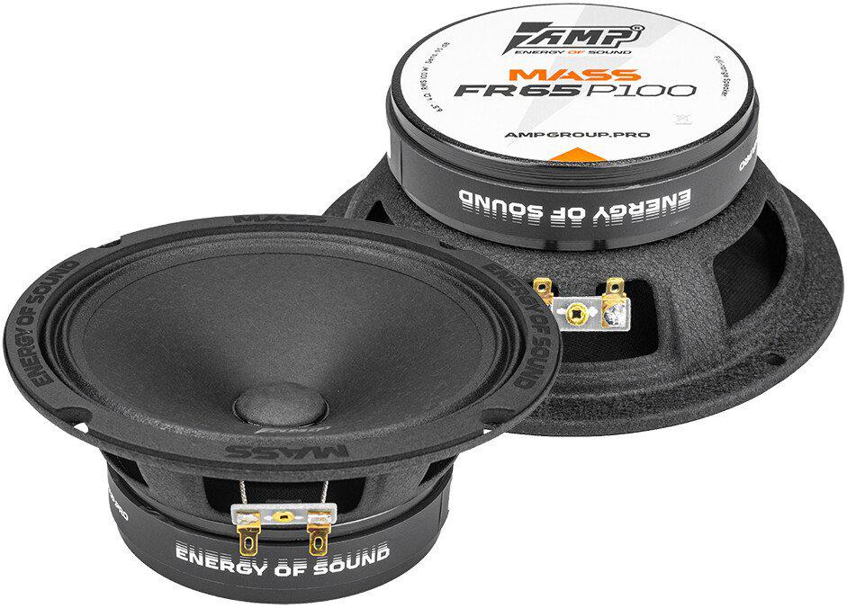 Широкополосная АС AMP Mass FR65P100