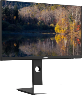 Монитор Dahua DHI-LM24-P301A- фото3