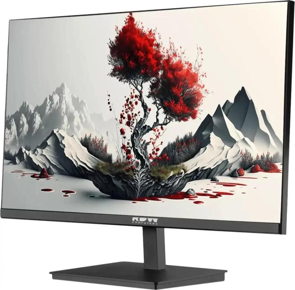 Монитор RDW Computers 2401K/F00В3100V2A1H- фото3