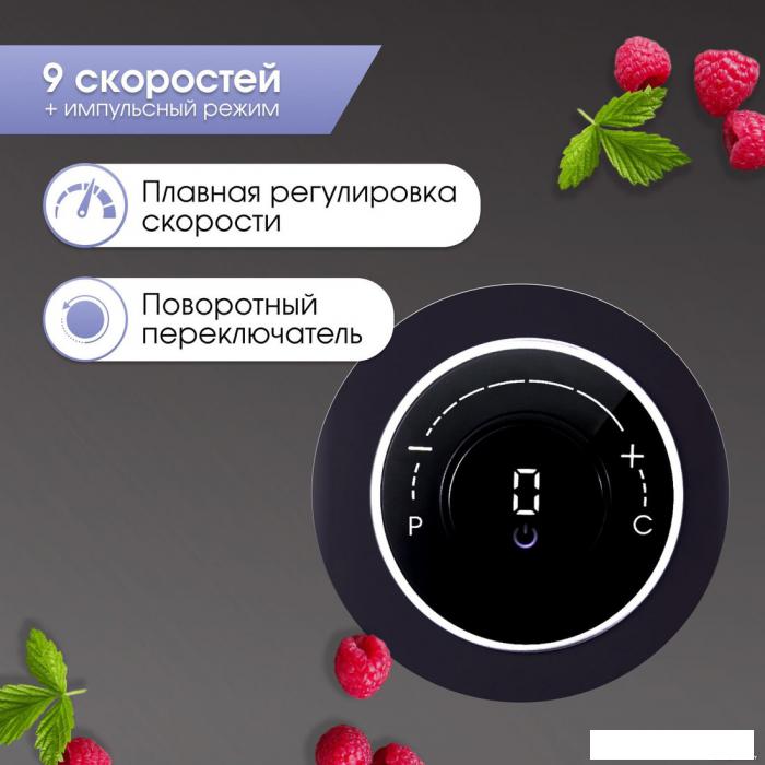 Стационарный блендер Zigmund & Shtain BS-446 D- фото4