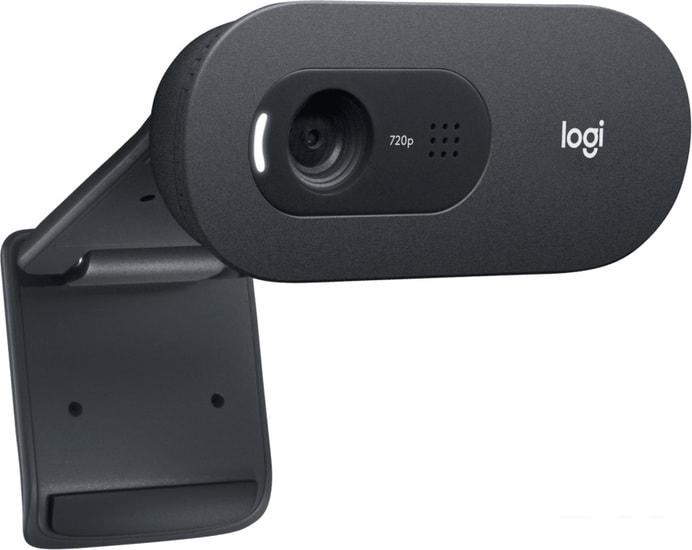 Logitech C505e- фото3