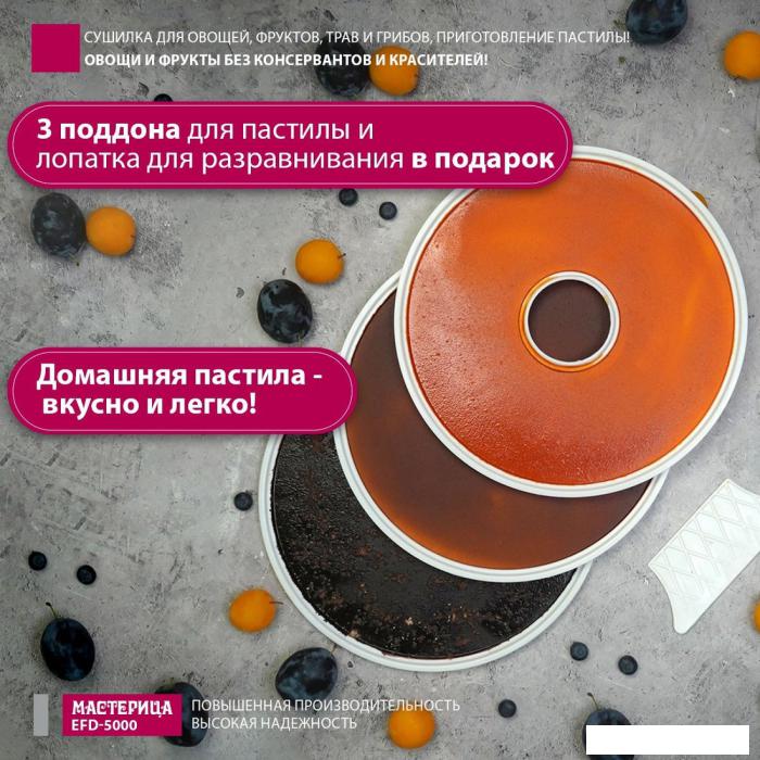 Сушилка для овощей и фруктов Мастерица EFD-5000- фото2