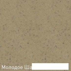 Кухонная мойка Zigmund & Shtain Kaskade 800 (молодое шампанское)- фото2