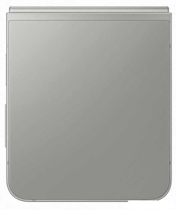 Смартфон Samsung Galaxy Z Flip6 SM-F741B 12GB/256GB (серый)- фото2