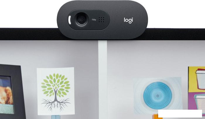 Logitech C505e- фото4