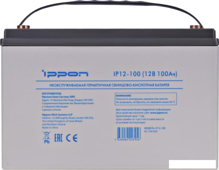 Аккумулятор для ИБП IPPON IP12-100 (12В/100 А·ч)- фото4