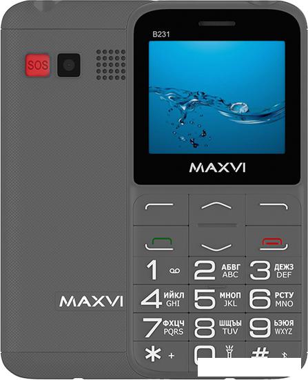Кнопочный телефон Maxvi B231 (серый)- фото