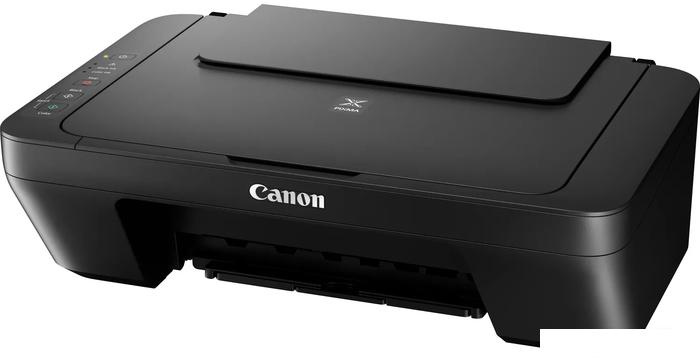 МФУ Canon PIXMA MG2555S 0727C026- фото