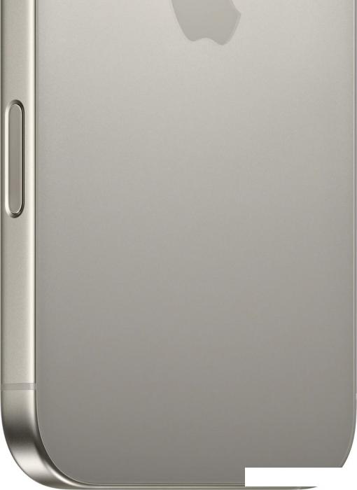Смартфон Apple iPhone 16 Pro Max 256GB (природный титан)- фото4