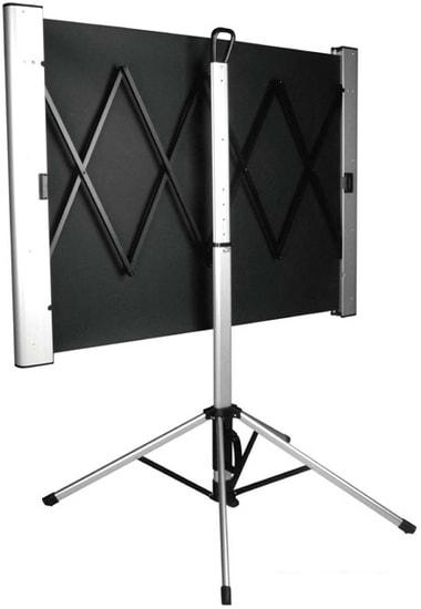 Проекционный экран CACTUS TriAlExpert 102x180 CS-PSTALE-180X102- фото2