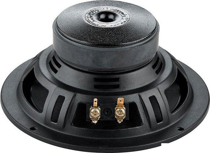 Компонентная АС Black Hydra Gamma 625C- фото3