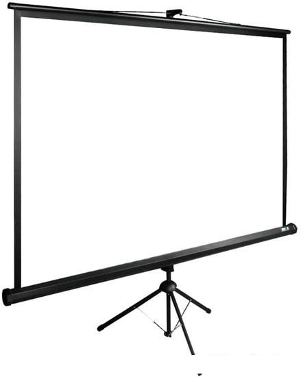 Проекционный экран CACTUS TriExpert 165x220 CS-PSTE-220X165-BK- фото2