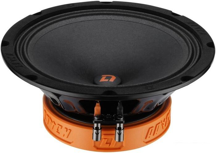 Среднечастотная АС DL Audio Raven 200- фото