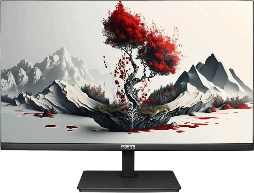 Монитор RDW Computers 2401K/F00В3100V2A1H- фото