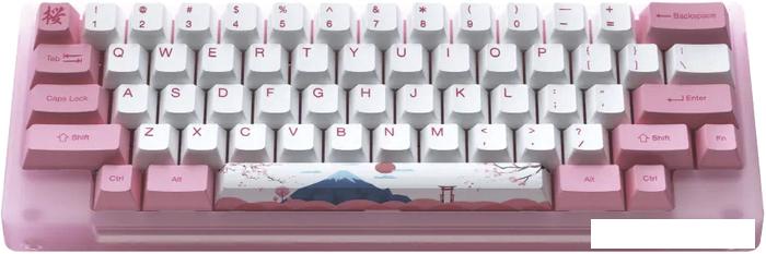 Клавиатура Akko ACR 59 Acrylic Tokyo (Akko CS Jelly Pink, нет кириллицы)- фото2