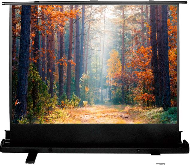 Проекционный экран CACTUS FloorExpert 150x200 CS-PSFLE-200X150- фото