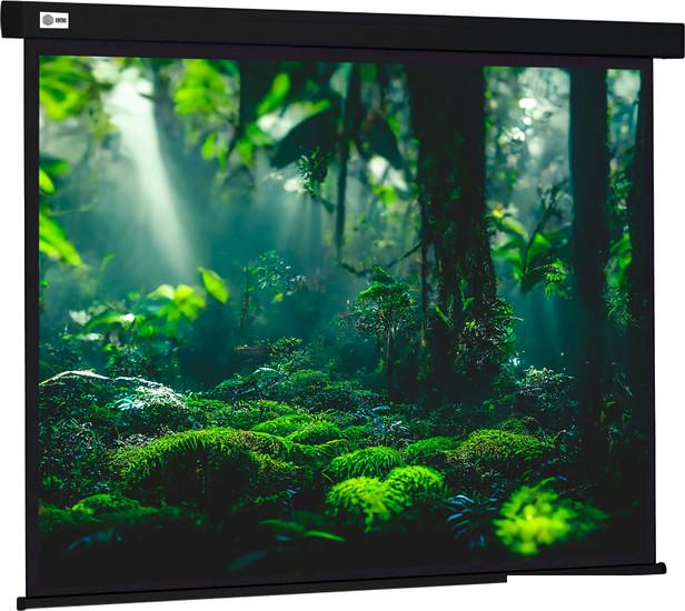 Проекционный экран CACTUS Wallscreen 213x213 CS-PSW-213X213-BK- фото