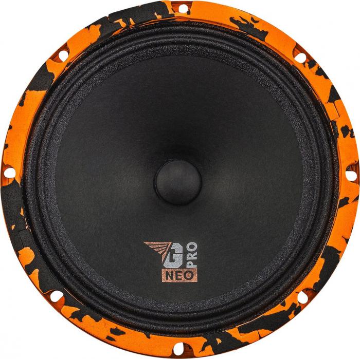 Среднечастотная АС DL Audio Gryphon Pro 200 Neo- фото2