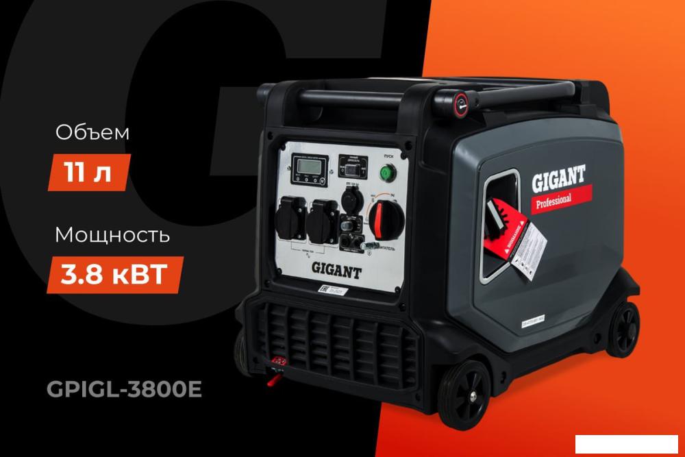 Бензиновый генератор Gigant GPIGL-3800E- фото2