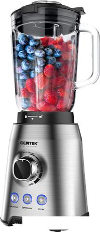 Стационарный блендер CENTEK CT-1329- фото
