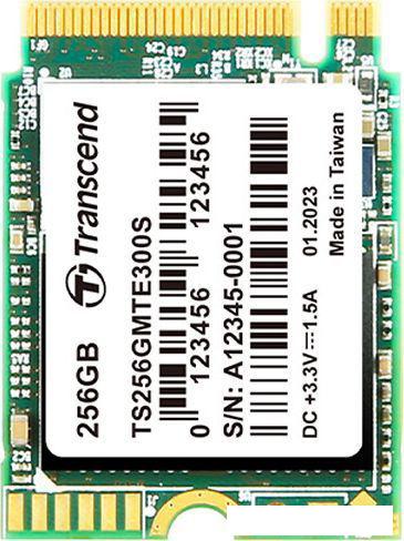 SSD Transcend 300S 256GB TS256GMTE300S- фото2