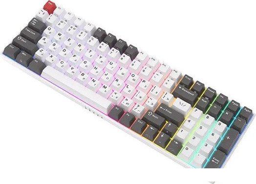 Клавиатура Royal Kludge RK100 RGB (белый/серый, RK Red)- фото2