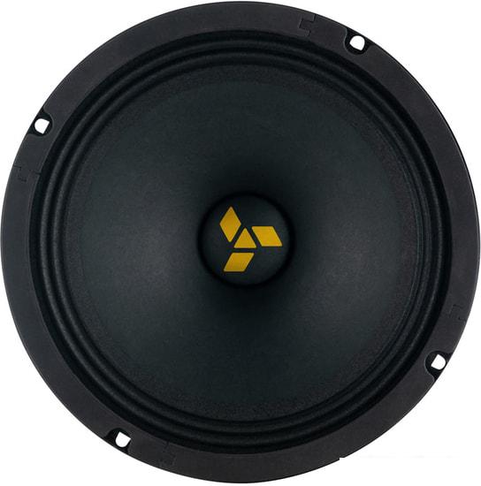 Среднечастотная АС Swat MAS-80Pro- фото