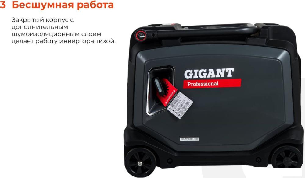 Бензиновый генератор Gigant GPIGL-3800E- фото4