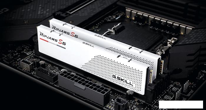 Оперативная память G.Skill Ripjaws S5 2x32ГБ DDR5 5600МГц F5-5600J3636D32GX2-RS5W- фото4