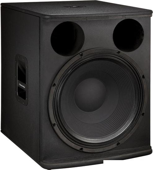 Концертная акустика Electro-Voice ELX118- фото4