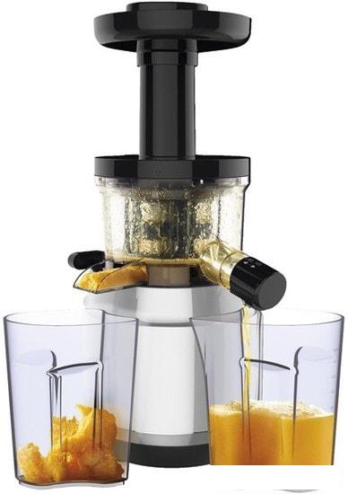 Соковыжималка Moulinex ZU420E10- фото4