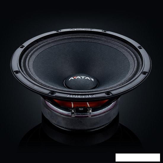 Среднечастотная АС Avatar MTU-61LE- фото4