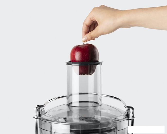 Соковыжималка NutriBullet NBJ100- фото4